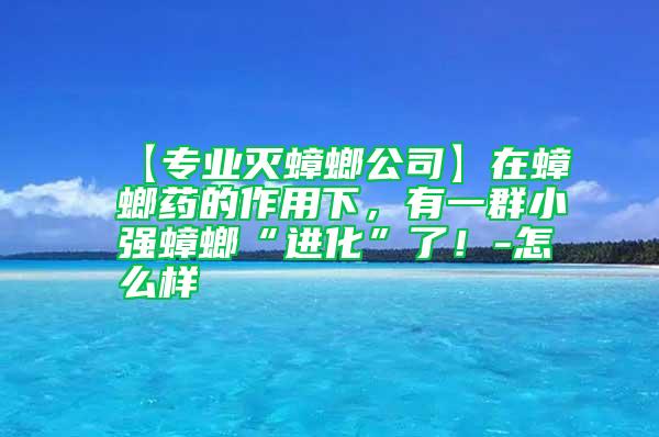 【專業(yè)滅蟑螂公司】在蟑螂藥的作用下，有一群小強蟑螂“進(jìn)化”了！-怎么樣