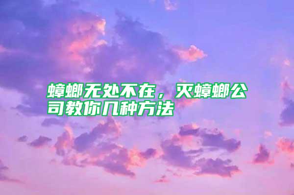 蟑螂無處不在，滅蟑螂公司教你幾種方法