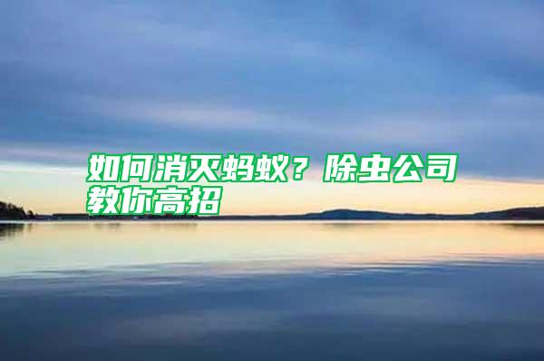 如何消滅螞蟻？除蟲公司教你高招