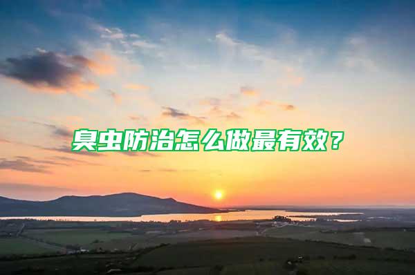 臭蟲防治怎么做最有效？
