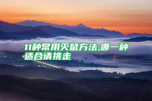 11種常用滅鼠方法,哪一種適合請?zhí)糇?/></p>
             <p style=