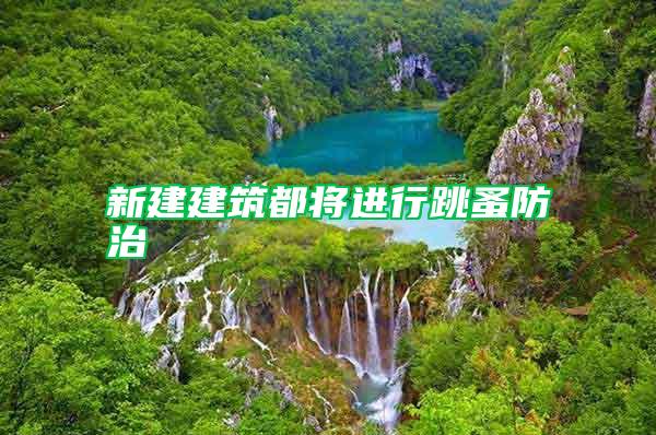 新建建筑都將進(jìn)行跳蚤防治