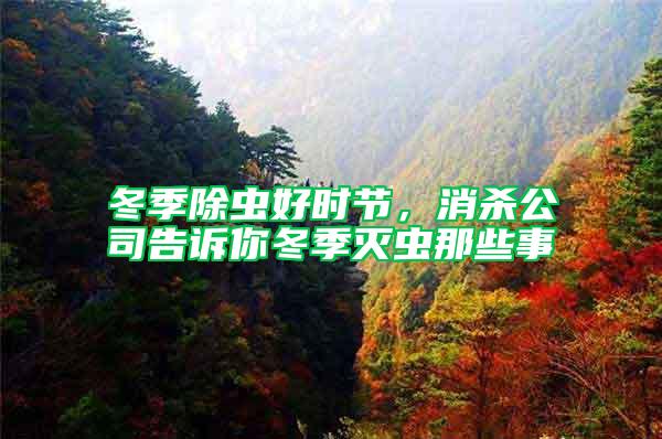 冬季除蟲(chóng)好時(shí)節(jié)，消殺公司告訴你冬季滅蟲(chóng)那些事