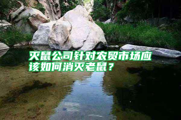 滅鼠公司針對(duì)農(nóng)貿(mào)市場(chǎng)應(yīng)該如何消滅老鼠？