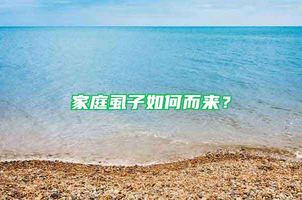 家庭虱子如何而來？