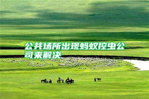 公共場(chǎng)所出現(xiàn)螞蟻控蟲公司來解決