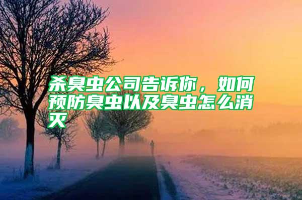 殺臭蟲公司告訴你，如何預(yù)防臭蟲以及臭蟲怎么消滅