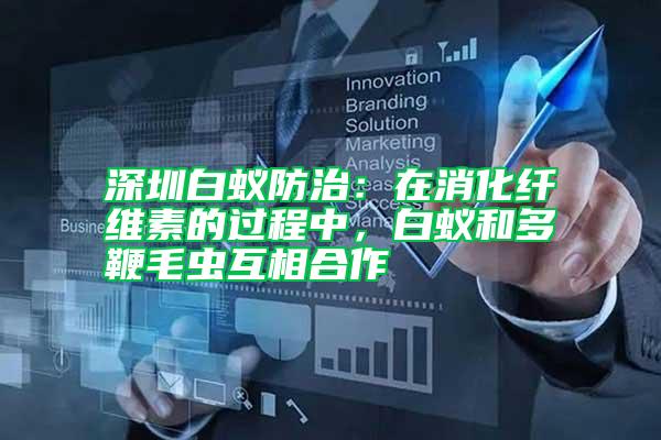 深圳白蟻防治：在消化纖維素的過(guò)程中，白蟻和多鞭毛蟲(chóng)互相合作