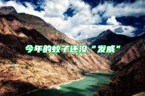 今年的蚊子還沒“發(fā)威”