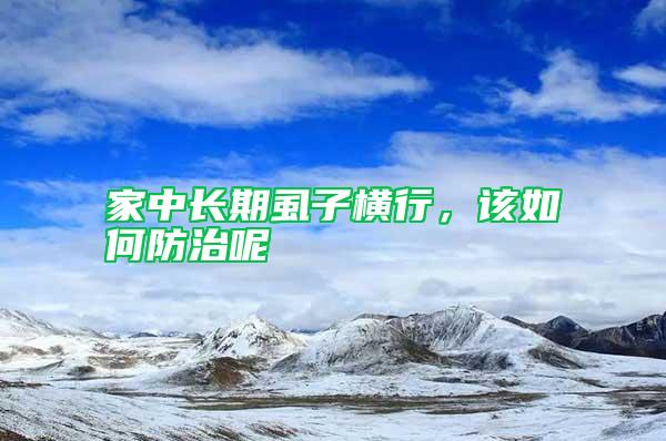 家中長期虱子橫行，該如何防治呢