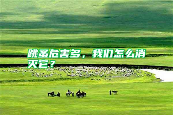 跳蚤危害多，我們?cè)趺聪麥缢?/></p>
             <p style=