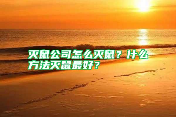 滅鼠公司怎么滅鼠？什么方法滅鼠最好？