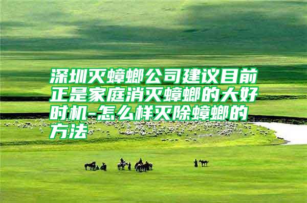 深圳滅蟑螂公司建議目前正是家庭消滅蟑螂的大好時機(jī)-怎么樣滅除蟑螂的方法