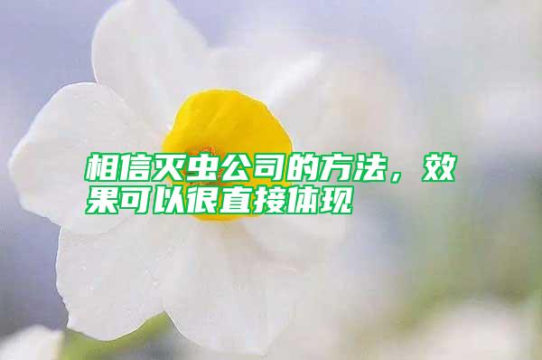 相信滅蟲公司的方法，效果可以很直接體現(xiàn)