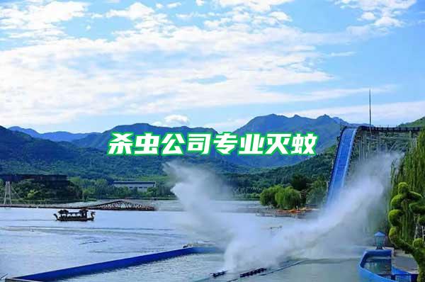 殺蟲(chóng)公司專(zhuān)業(yè)滅蚊