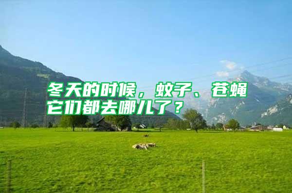 冬天的時候，蚊子、蒼蠅它們都去哪兒了？
