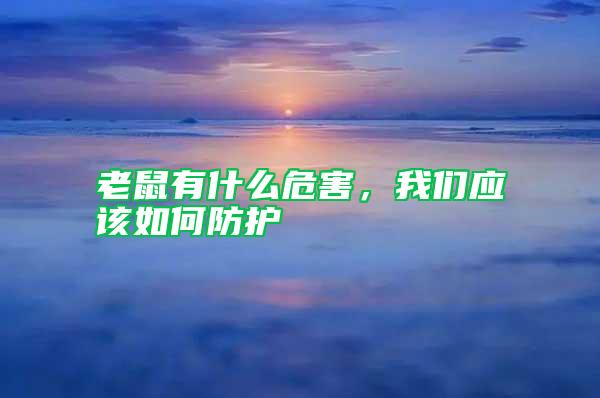 老鼠有什么危害，我們應(yīng)該如何防護(hù)