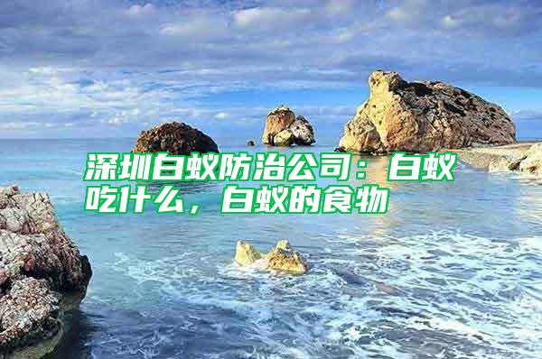 深圳白蟻防治公司：白蟻吃什么，白蟻的食物