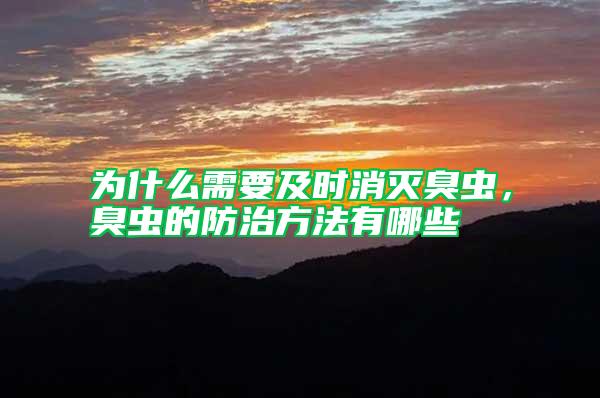 為什么需要及時消滅臭蟲，臭蟲的防治方法有哪些