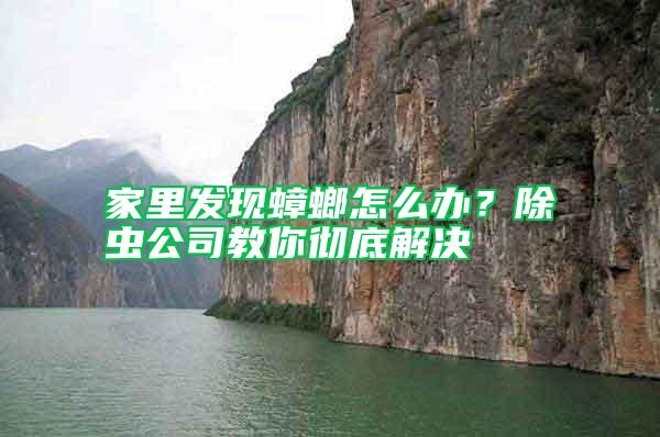 家里發(fā)現(xiàn)蟑螂怎么辦？除蟲公司教你徹底解決