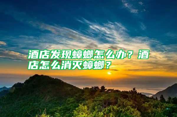 酒店發現蟑螂怎么辦？酒店怎么消滅蟑螂？