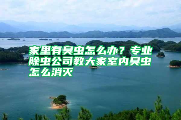 家里有臭蟲怎么辦？專業除蟲公司教大家室內臭蟲怎么消滅