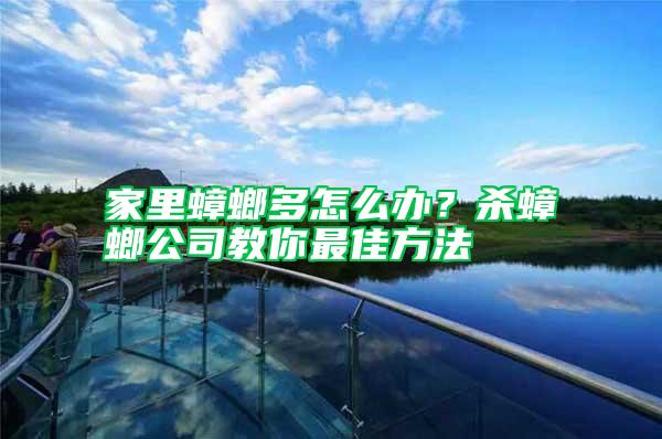 家里蟑螂多怎么辦？殺蟑螂公司教你最佳方法