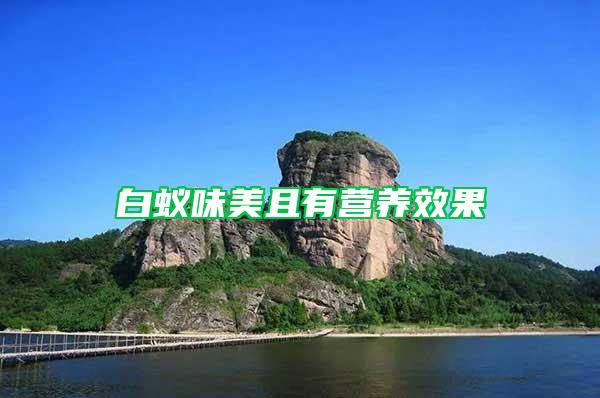 白蟻味美且有營養(yǎng)效果