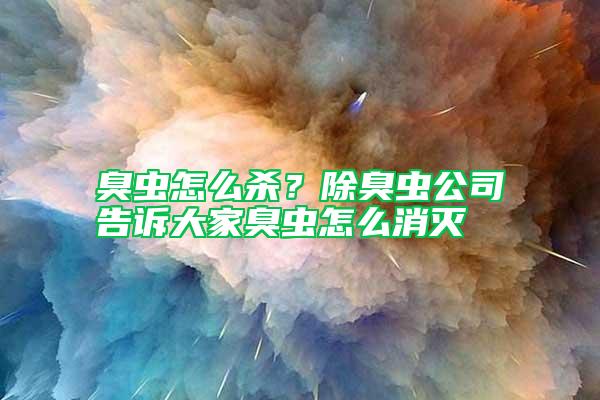 臭蟲怎么殺？除臭蟲公司告訴大家臭蟲怎么消滅
