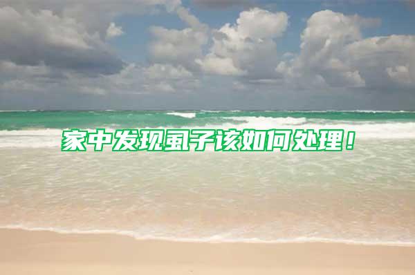 家中發(fā)現(xiàn)虱子該如何處理！