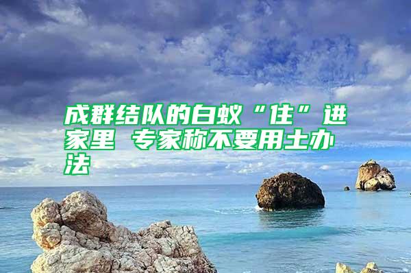 成群結(jié)隊(duì)的白蟻“住”進(jìn)家里 專(zhuān)家稱(chēng)不要用土辦法