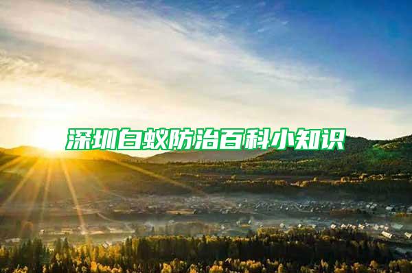 深圳白蟻防治百科小知識(shí)
