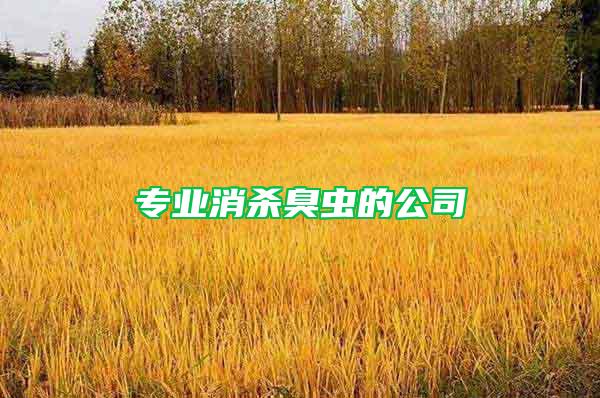 專業(yè)消殺臭蟲的公司