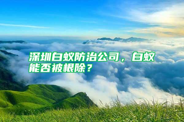深圳白蟻防治公司，白蟻能否被根除？