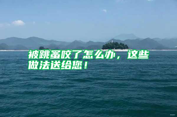 被跳蚤咬了怎么辦，這些做法送給您！