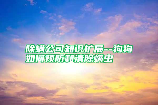 除螨公司知識擴展--狗狗如何預(yù)防和清除螨蟲