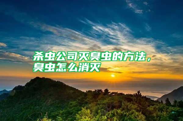 殺蟲(chóng)公司滅臭蟲(chóng)的方法，臭蟲(chóng)怎么消滅
