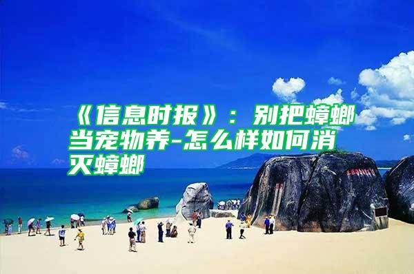 《信息時(shí)報(bào)》：別把蟑螂當(dāng)寵物養(yǎng)-怎么樣如何消滅蟑螂