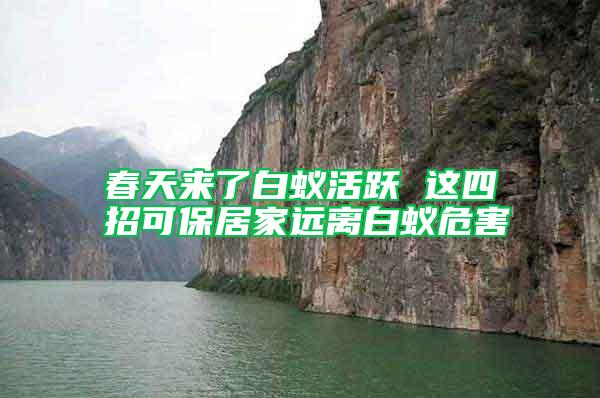 春天來了白蟻活躍 這四招可保居家遠(yuǎn)離白蟻危害