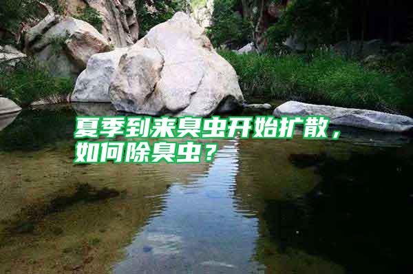 夏季到來臭蟲開始擴散，如何除臭蟲？