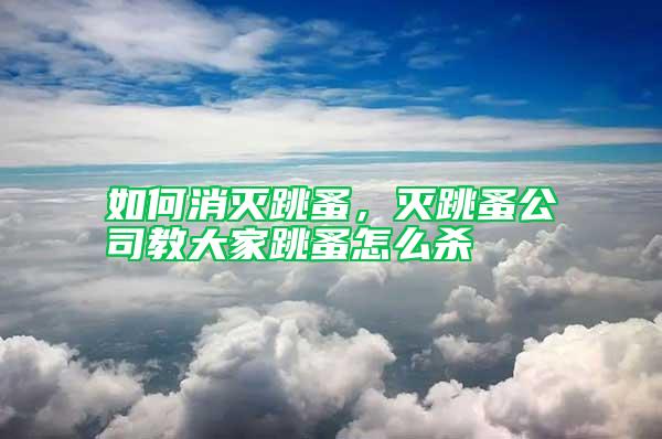 如何消滅跳蚤，滅跳蚤公司教大家跳蚤怎么殺