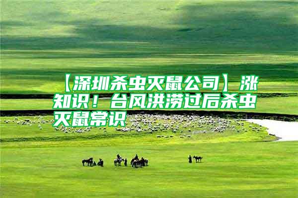 【深圳殺蟲滅鼠公司】漲知識！臺風洪澇過后殺蟲滅鼠常識