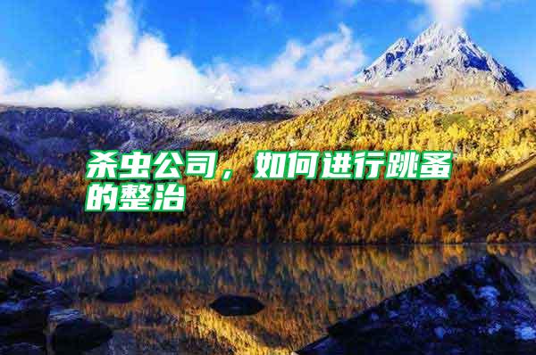 殺蟲公司，如何進行跳蚤的整治