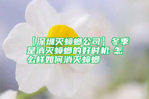 【深圳滅蟑螂公司】冬季是消滅蟑螂的好時(shí)機(jī)-怎么樣如何消滅蟑螂