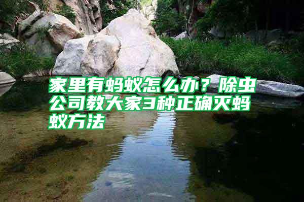 家里有螞蟻怎么辦？除蟲公司教大家3種正確滅螞蟻方法