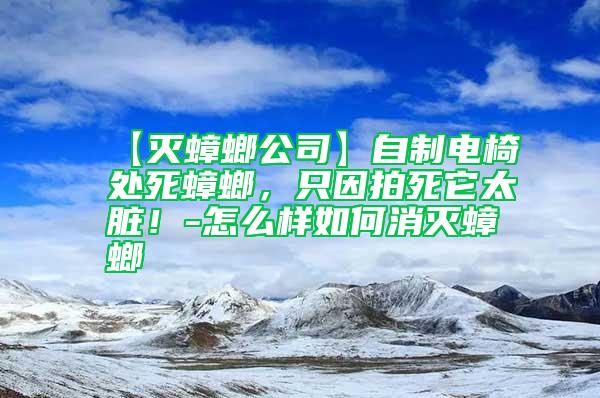 【滅蟑螂公司】自制電椅處死蟑螂，只因拍死它太臟！-怎么樣如何消滅蟑螂