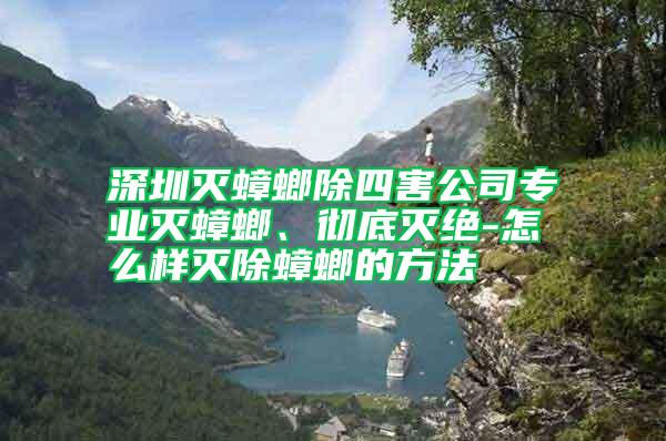 深圳滅蟑螂除四害公司專業滅蟑螂、徹底滅絕-怎么樣滅除蟑螂的方法