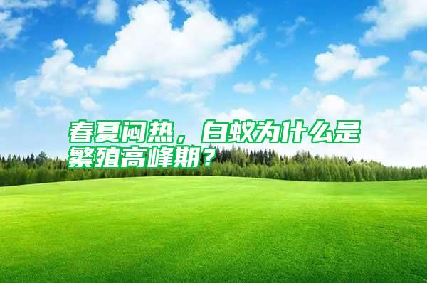 春夏悶熱，白蟻為什么是繁殖高峰期？