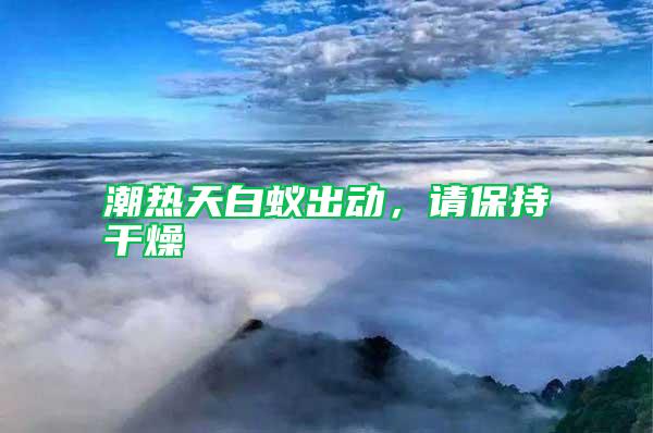 潮熱天白蟻出動(dòng)，請(qǐng)保持干燥