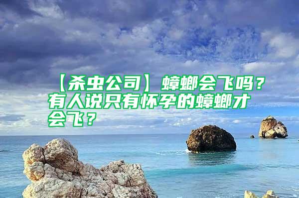 【殺蟲公司】蟑螂會飛嗎？有人說只有懷孕的蟑螂才會飛？
